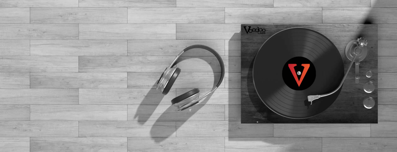 voodoo labs record cleaning accessories