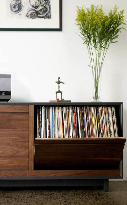 Vinyl Storage
