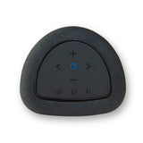 BLUESOUND PULSE FLEX P130