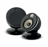 Focal Dome Flax Compact Speaker