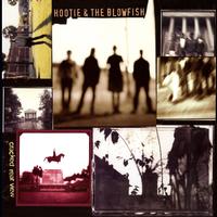 Analogue Productions - Hootie & The Blowfish - Cracked Rear View -  LP!