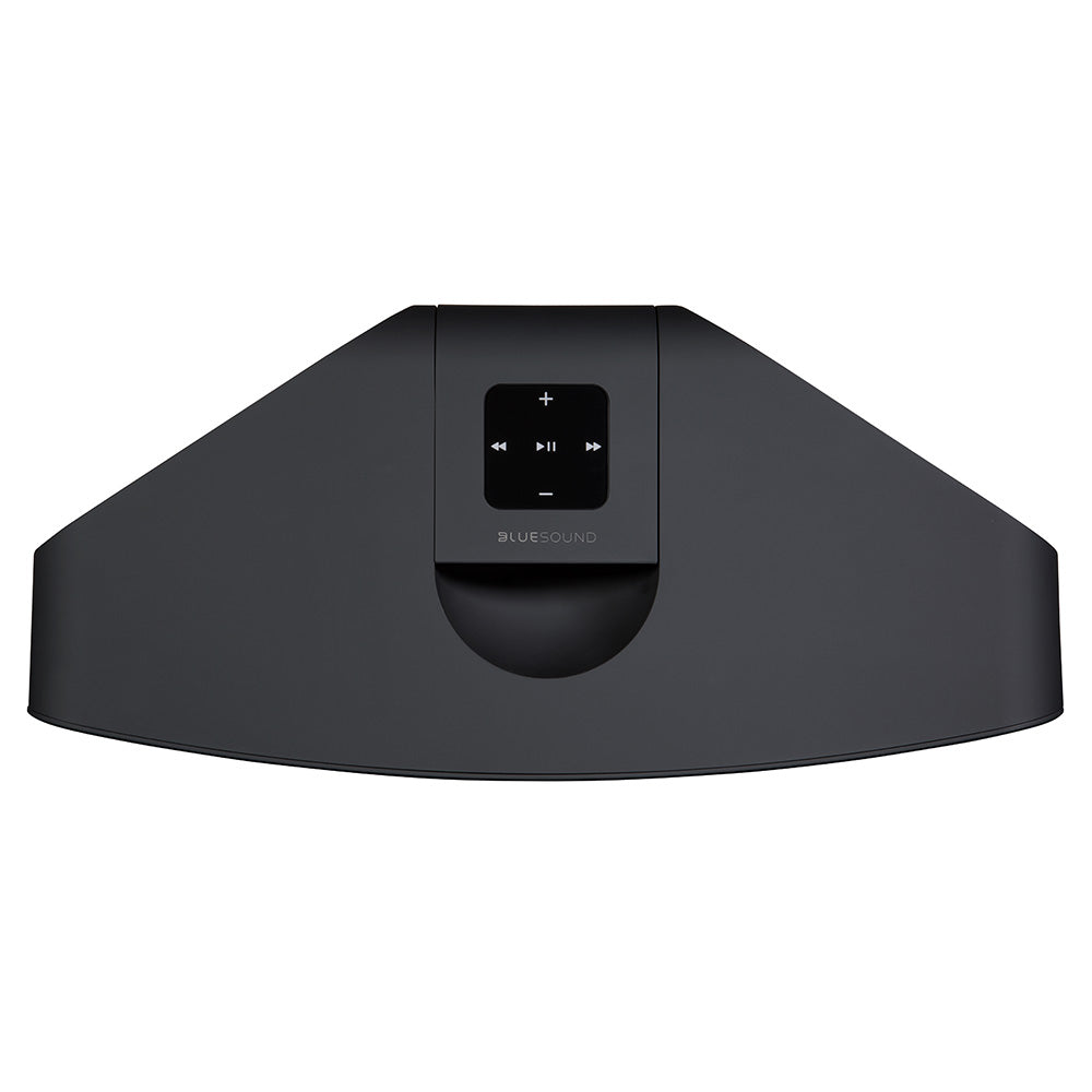 BlueSound PULSE 2i
