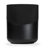 Bluesound Pulse M230