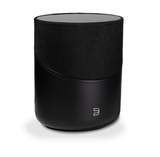 Bluesound Pulse M230