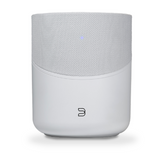 Bluesound Pulse M230
