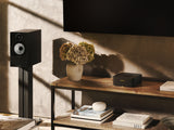 Marantz Model M1 Network Amplifier
