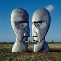 Pink Floyd Division Bell vinyl