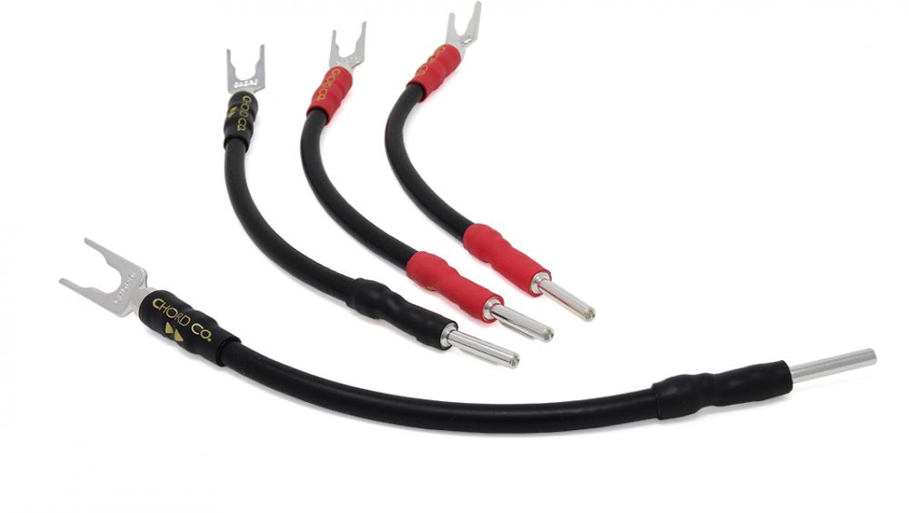 Chord Signature XL Ohmic Speaker Links (4)
