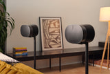 Sonos Era 300 ON STANDS